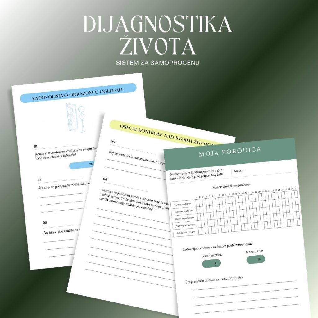 Dijagnostika života – Sistem za samoprocenu E-book